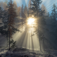 【軟件項目外包平臺公司|軟件項目外包平臺